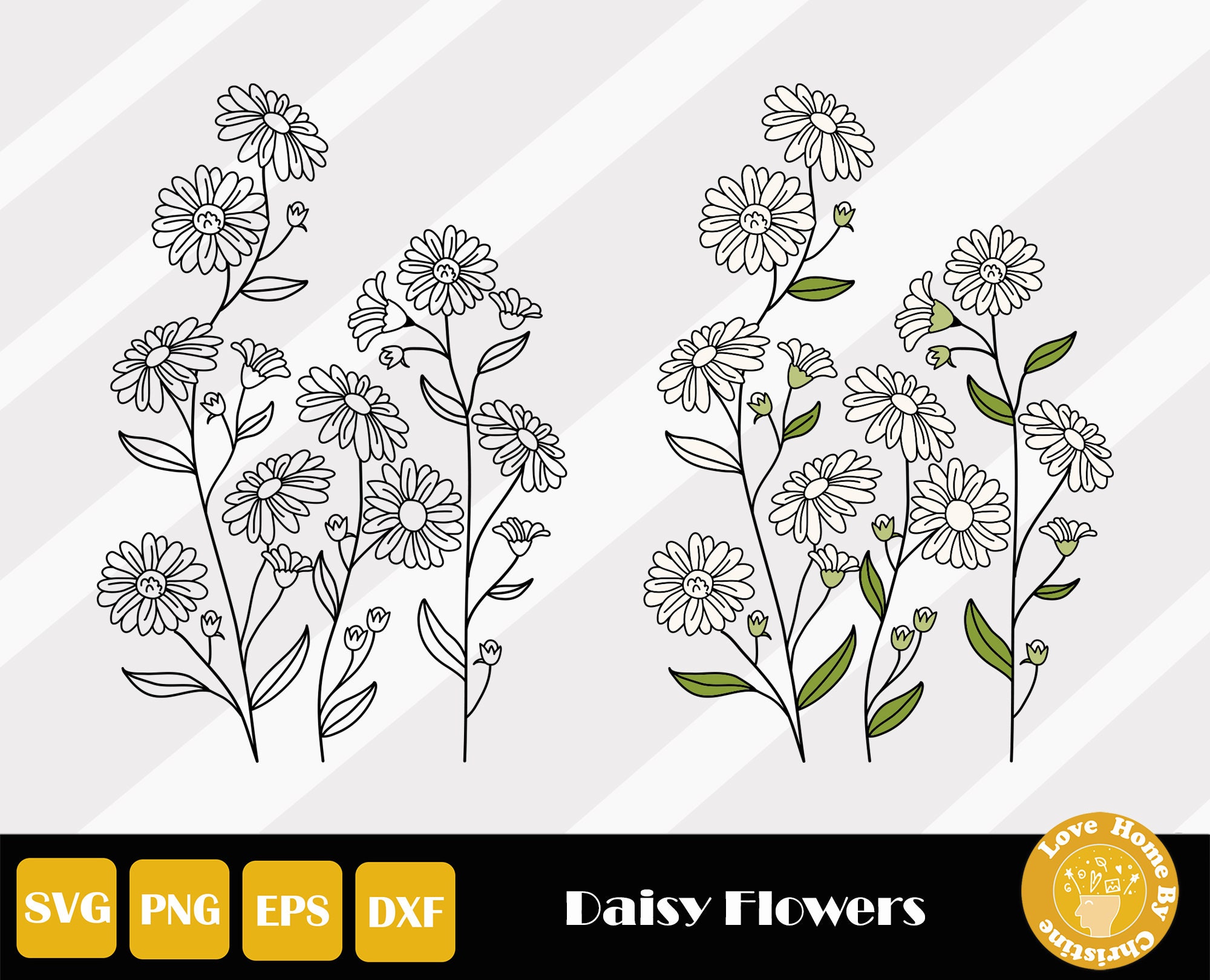 Daisy Svg Daisy Flower Svg Daisy Clipart Flowers Svg Etsy UK