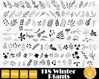 118 Christmas plants Svg, Winter plants Svg,  Botanical PNG SVG EPS Cut Files for Cricut Silhouette Files, Easy Cut, Digital Download