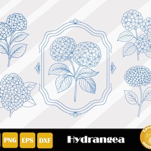 May include: Blue line art of hydrangea flowers in various arrangements. Some are single stems, others are clustered, and one is framed. The word "Hydrangea" is written in a serif font. The image includes file type icons: SVG, PNG, EPS, and DXF.