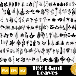166 Leaves Svg, Plants Svg, Tropical Leaves svg, Jungle Leaves Svg for Cricut Silhouette Files, Easy Cut, Instant Download