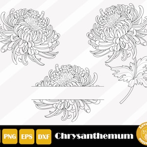 3 Chrysanthemum Svg, Botanical Svg, Wildflower Stencil, Birth Flower Svg, Wildflower Cut Files For Cricut Silhouette, Instant Download