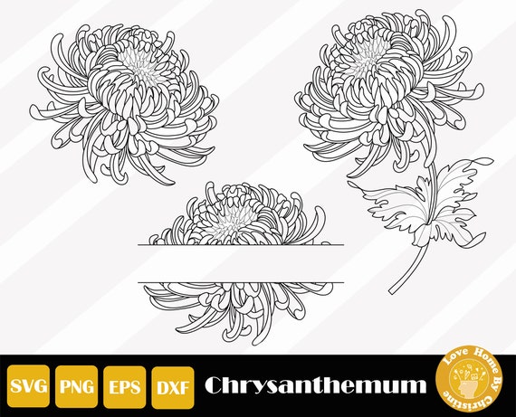 3 Chrysanthemum Svg, Botanical Svg, Wildflower Stencil, Birth Flower Svg, Wildflower Cut Files For Cricut Silhouette, Instant Download