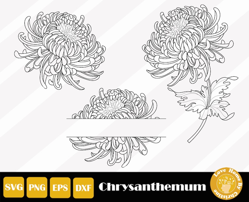 以下が含まれることがあります： 菊の花の白黒の線画イラスト。花は、茎と葉のある単一の花、そして間にテキストを入れるための空白のある2つの花など、3つの異なる位置で示されています。