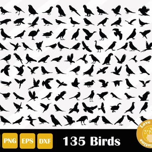 135 Birds Animal Bundle SVG Files for Cricut Silhouette Files, Easy Cut File, Instant Download