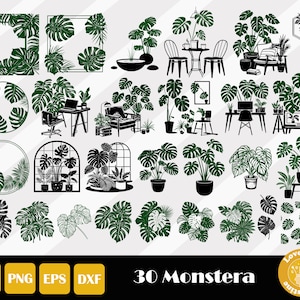 Monstera Svg, Tropical Leaves Svg, Palm Leaf Svg, Jungle Leaves Svg, Greenery Svg, Plant Svg, Monstera Clipart, Instant Download