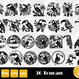 Toucan Svg, Toucan Clipart, Toucan Vector, Toucan Silhouette, Toucan Deca, Cockatoo Svg, Bird Cut Files, Cockatiel Svg, Instant Download