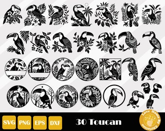 Toucan Svg, Toucan Clipart, Toucan Vector, Toucan Silhouette, Toucan Deca, Cockatoo Svg, Bird Cut Files, Cockatiel Svg, Instant Download