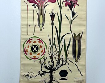 Carte d'oeillets vintage des années 1960, motif floral imprimé en Autriche, idée cadeau déco murale originale Haslinger
