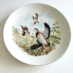 French Pheasant Plate, Bird Art, French Decor, Wall Art, Bird Decor, Wild Bird Art, Vintage Ceramic, Bird Art