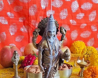 Divine Dhanvantari Puja and Homa Blessings. Invoke Healing, Health & Harmony for Your Family