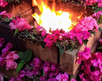 Goddess Laxmi Homa For Material Wealth and Abundance