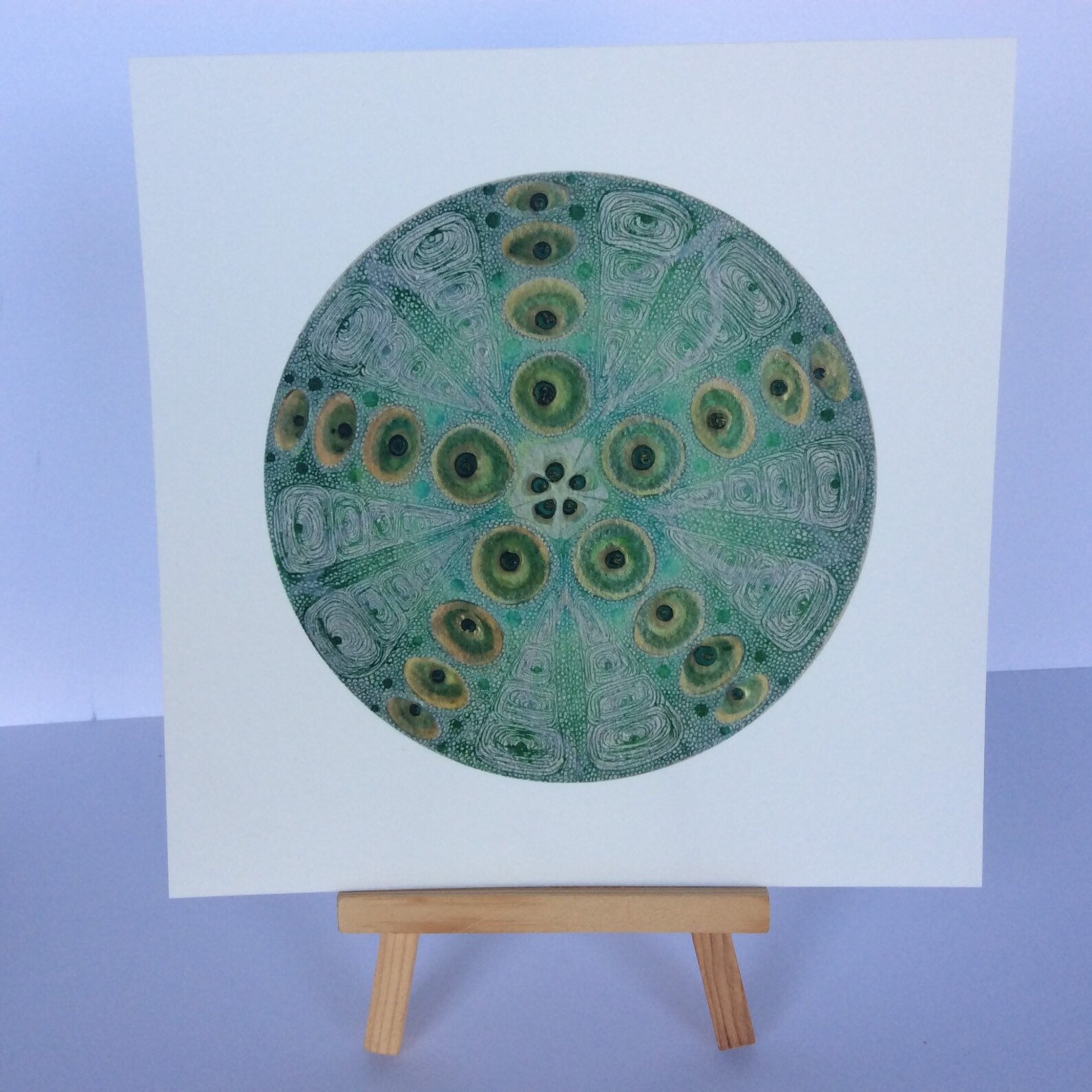 Fine art print wall art home decor beach theme sea urchin | Etsy