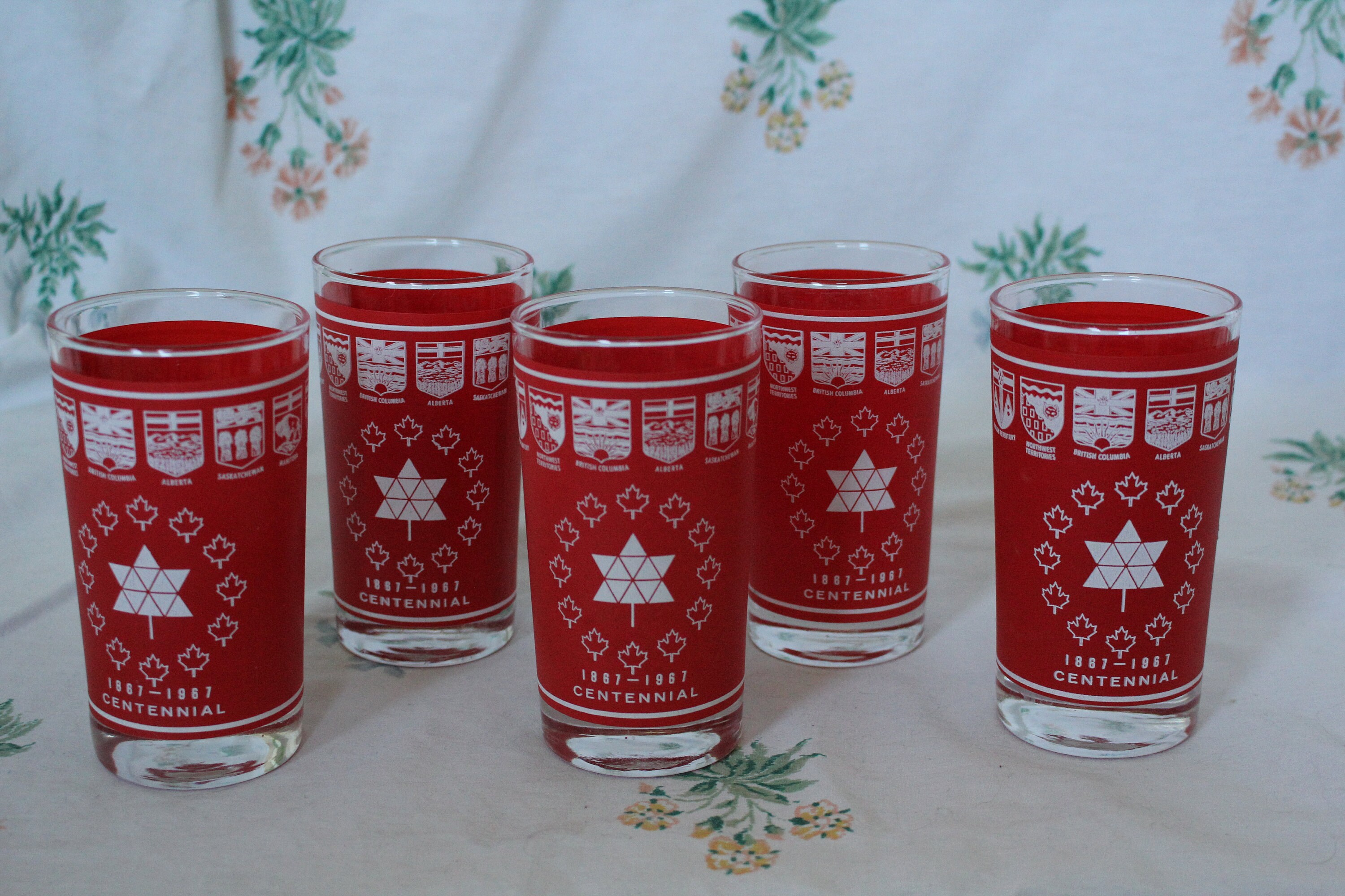 5PC Red Canadian Centennial Glass Set 100 jaar 1867 1967 Expo Etsy
