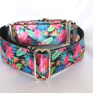 Tropical Paradise 38mm - Hand made to order house/martingale/side release collar for whippet, lurcher, Saluki, Greyhound, all dogs