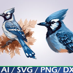 Blue Jay SVG: Nature Clipart, Bird Cut File (Digital Download)