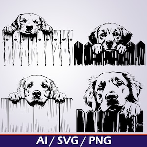 Espiando Golden Retriever SVG Bundle cachorro espiando por cima da cerca Espiando Golden Retriever Clipart Espiando Golden Retriever Arquivos PNG para Cricut