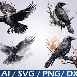May include: Four black and gray crow illustrations with watercolor-style backgrounds. The crows are depicted in different poses, including flying, perched on a branch, and looking to the side.