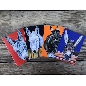 Cartões de felicitações de burro - pacote de 4