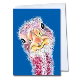 Turkey Greeting Card – Felicity