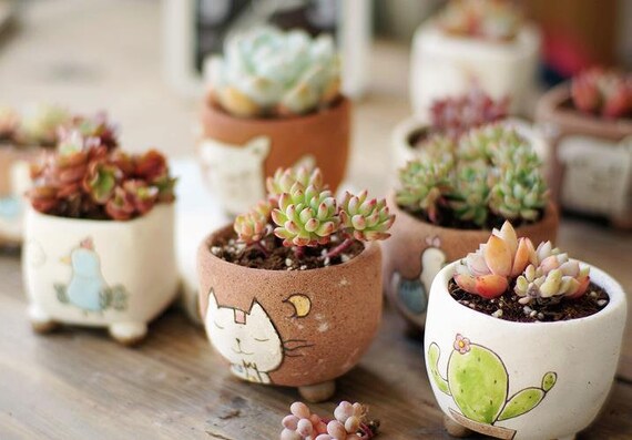 Kawaii Animal Planter Succulent Pot Table Decor Indoor Etsy