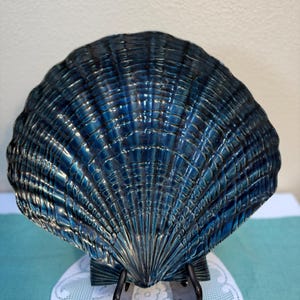May include: A decorative ceramic scallop shell sculpture featuring a glossy, deep blue and black glaze with prominent radial ridges. The shell is displayed upright on a small, dark brown plastic stand, showcasing its textured, fan-shaped form.