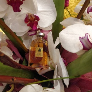 Vintage Lanvin Arpege Perfume Used At Salons De Coiffures image 2