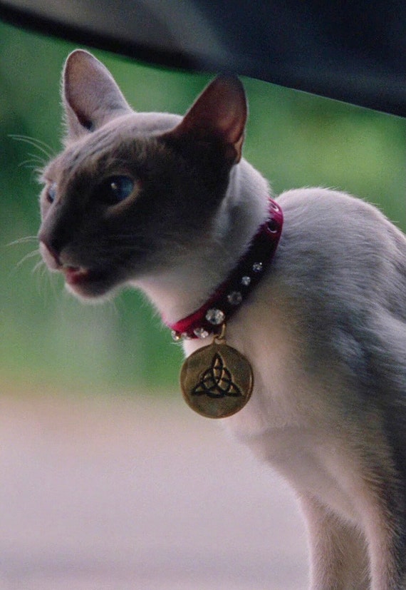 Charmed ! Prop ! Kit the Cat's Collar ! Rare Replica !