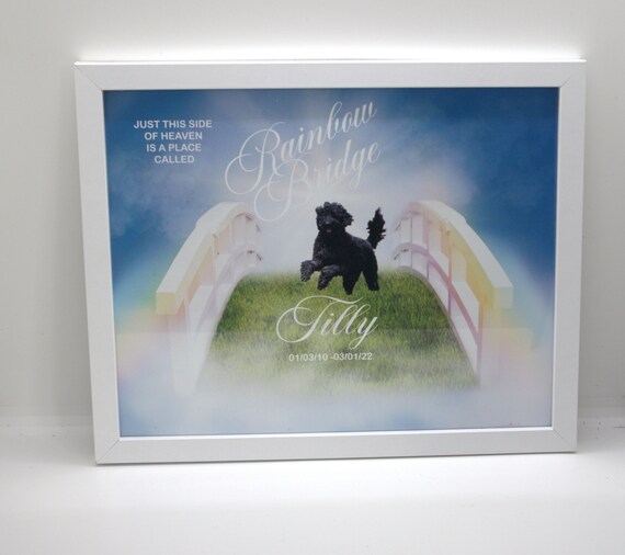 Pet Loss Portrait | Cat Print | Dog Print | Personalised Pet Print | Personalised Gift | Pet Lover Gift | Dog lover | Rainbow Bridge Print