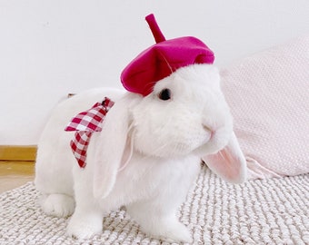 Haustier Hase Kleidung Etsy