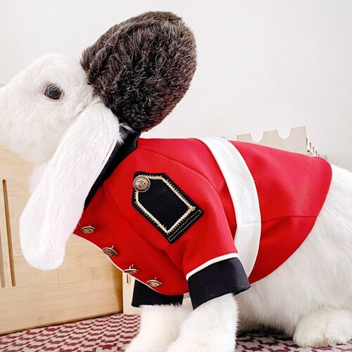 Ferdinand Magellan Costume for Pet Rabbit Small Dog and Cat Etsy Australia