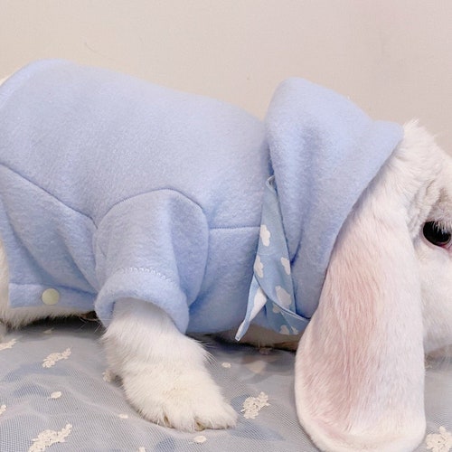bunny rabbit jacket
