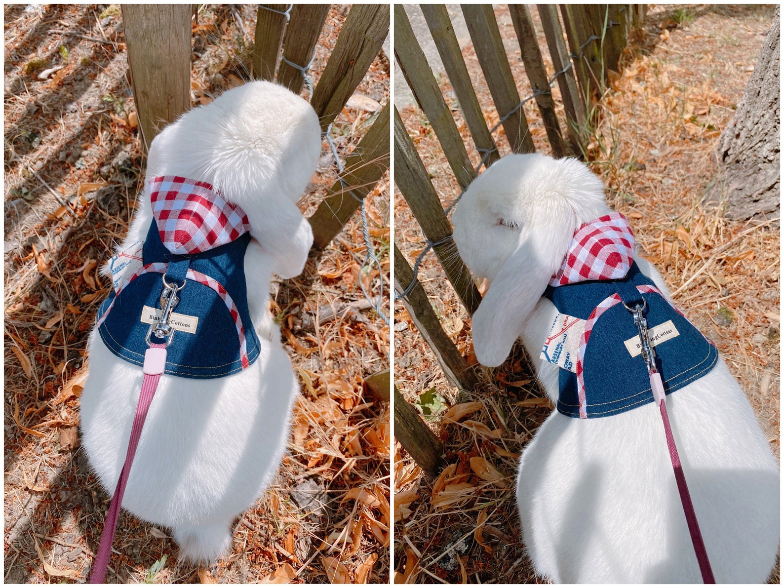 Hooded Pet Rabbit Harness Adjustable Small Pet Harness Bunny Etsy