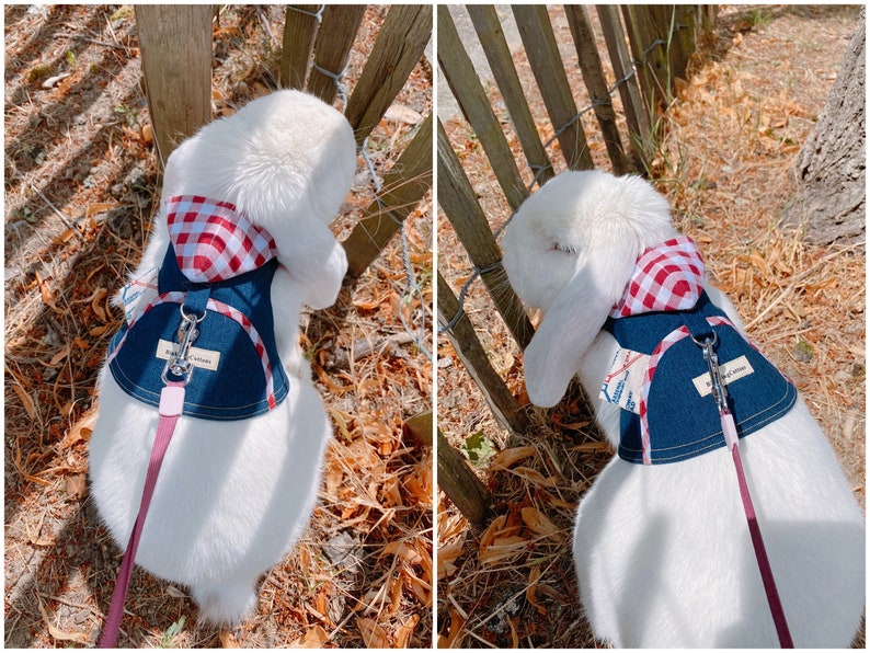 Hooded Pet Rabbit Harness Adjustable Small Pet Harness Bunny Etsy