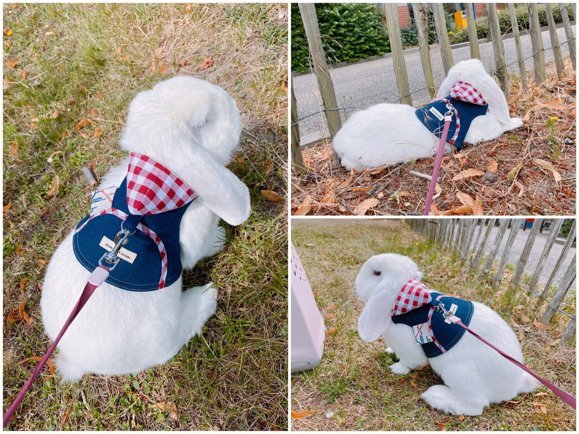 Hooded Pet Rabbit Harness Adjustable Small Pet Harness Bunny Etsy