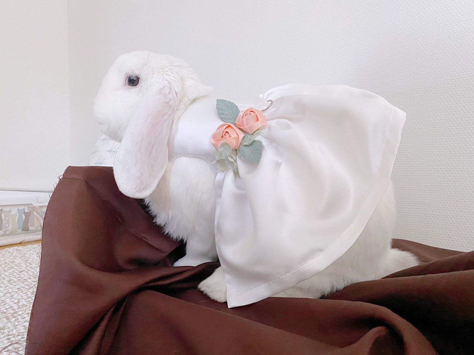 Ivory Satin Posy Pet Wedding Dress Pet Rabbit Harness Bunny Etsy