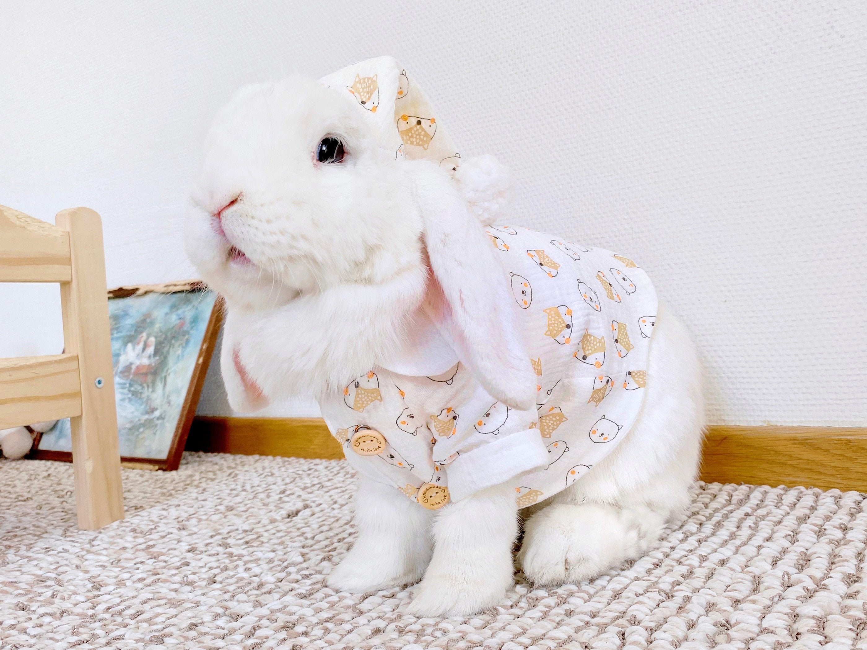 International Braut Jährlich rabbit pijama Shuraba beeindruckt sein Liner