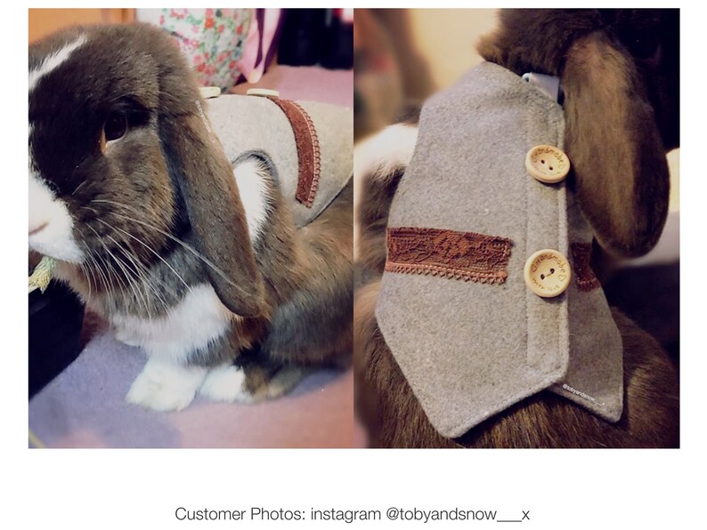 British Style Wool Waistcoat for Bunny Rabbit Small Dog and Etsy