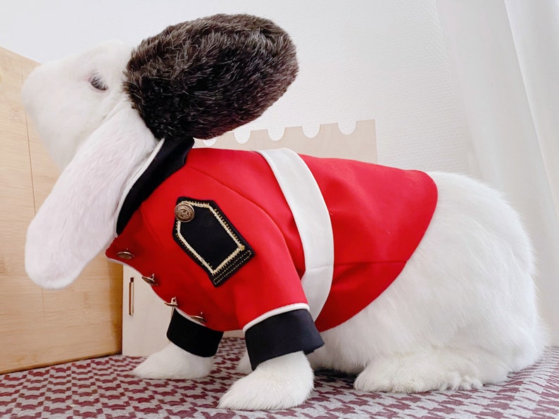 Queen's Guard Pet Costume Queens Guard Uniform for Etsy