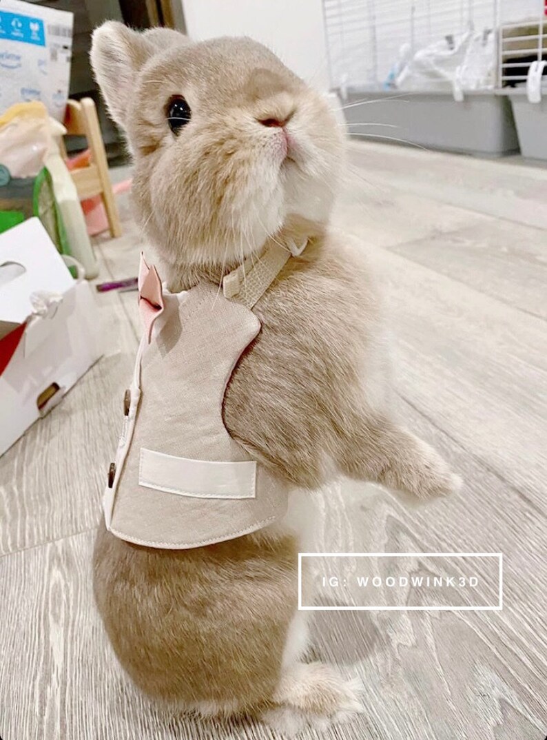 Pet Rabbit Wedding Tuxedo With Bow Tie Bunny Tuxedo Harness Etsy