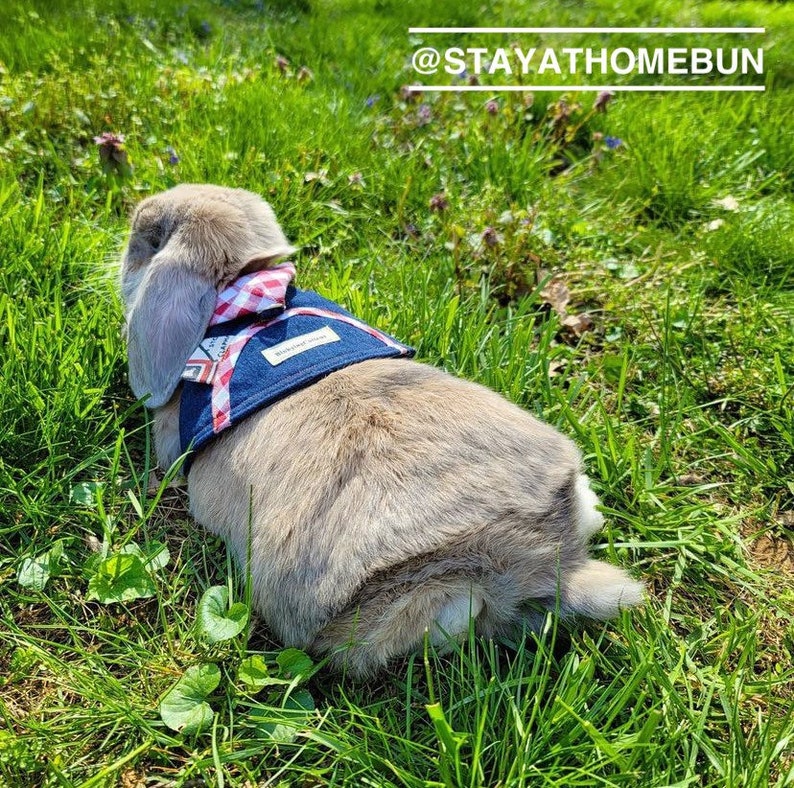 Hooded Pet Rabbit Harness Adjustable Small Pet Harness Bunny Etsy