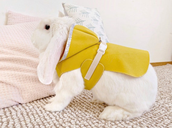 Soft Rabbits Harness with Leash-Brand BOBO 