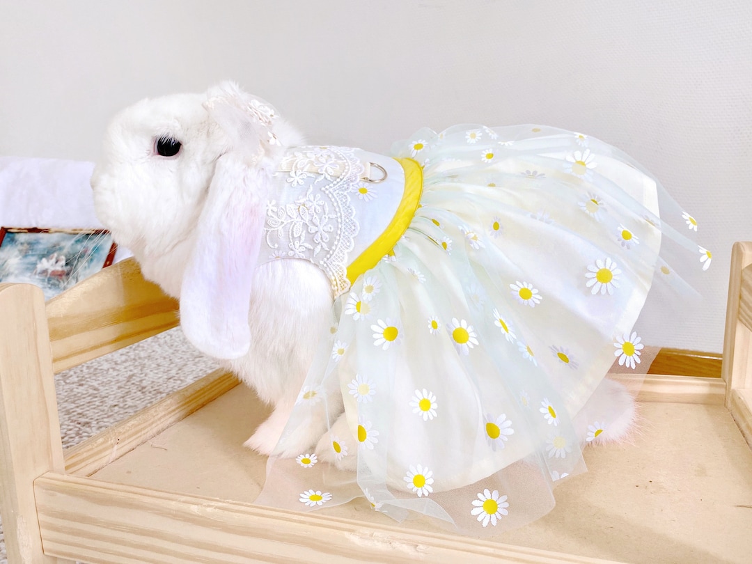 daisy deco rabbit dress