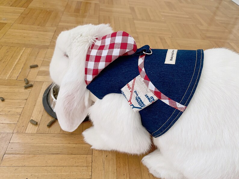 Hooded Pet Rabbit Harness Adjustable Small Pet Harness Bunny Etsy