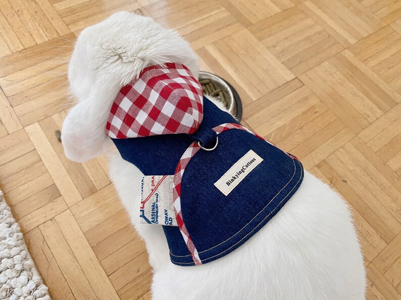Hooded Pet Rabbit Harness Adjustable Small Pet Harness Bunny Etsy