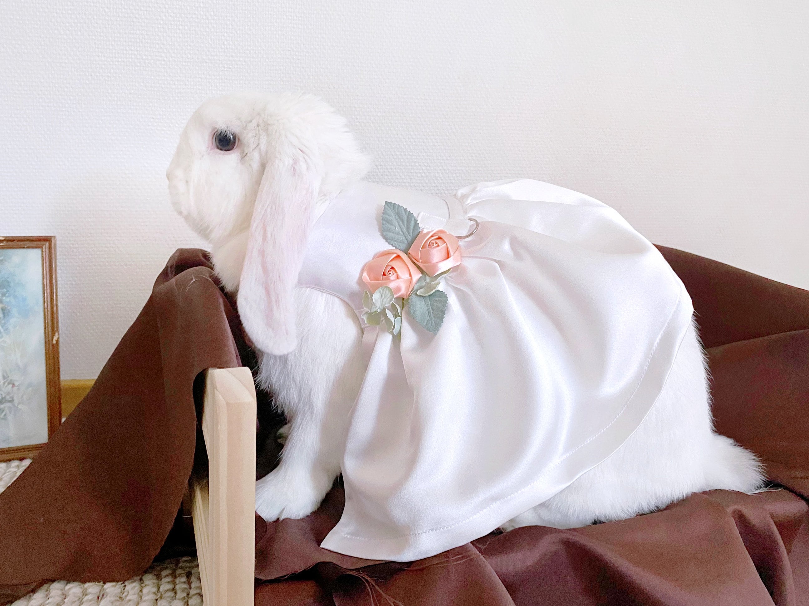Ivory Satin Posy Pet Wedding Dress Pet Rabbit Harness Bunny Etsy
