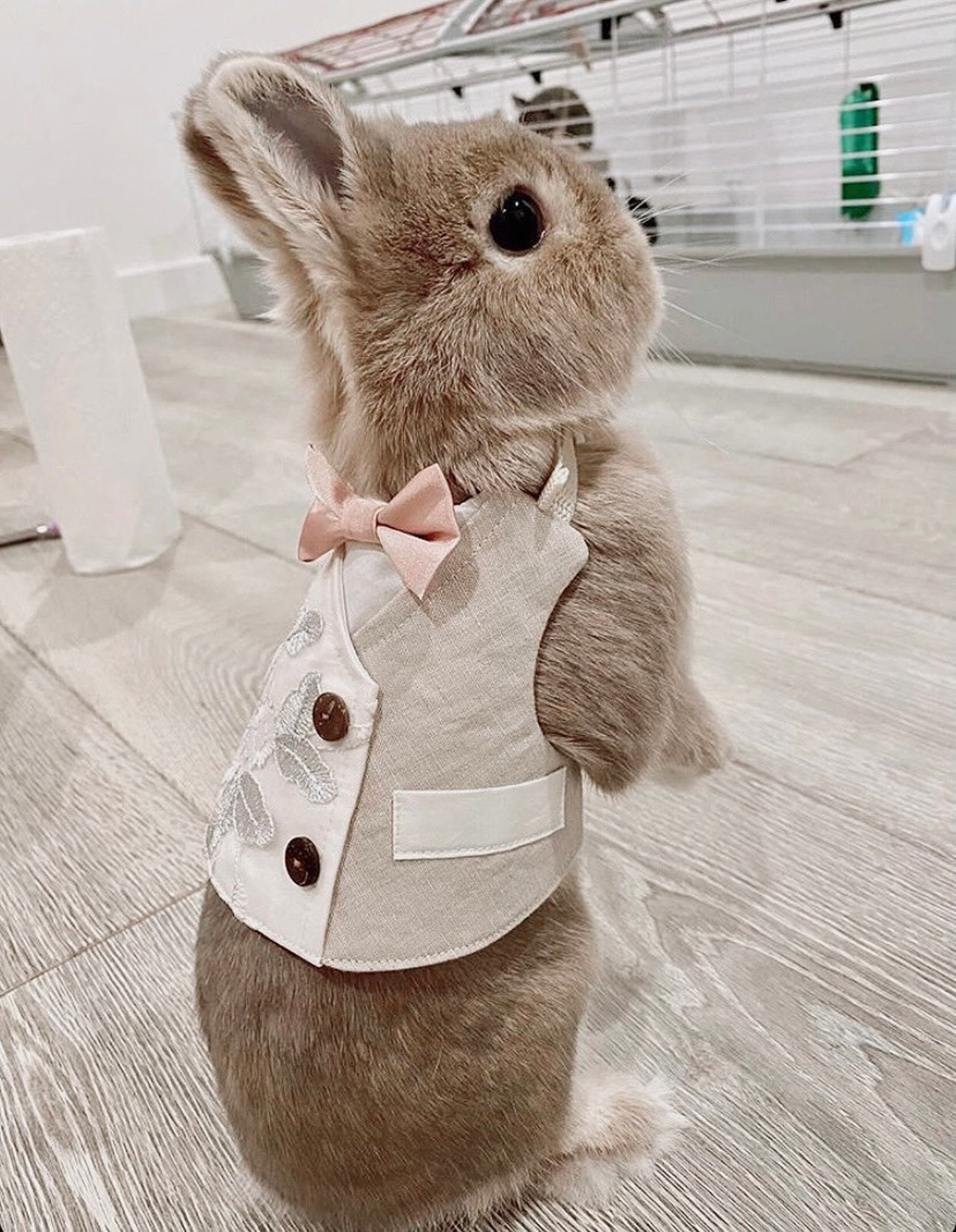 Pet Rabbit Wedding Tuxedo With Bow Tie Bunny Tuxedo Harness Etsy