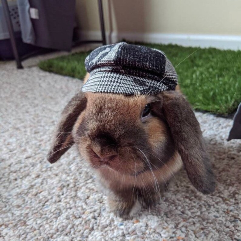 Newsboy Hat for Pet Rabbits Dogs and Cats Pet Vintage Style Etsy