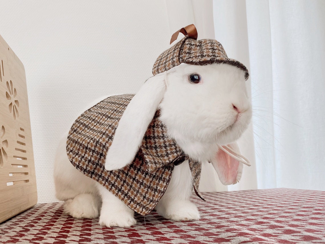 Sherlock Holmes Rabbit Halloween Costume