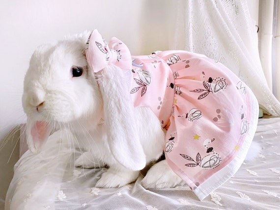 rabbit harness