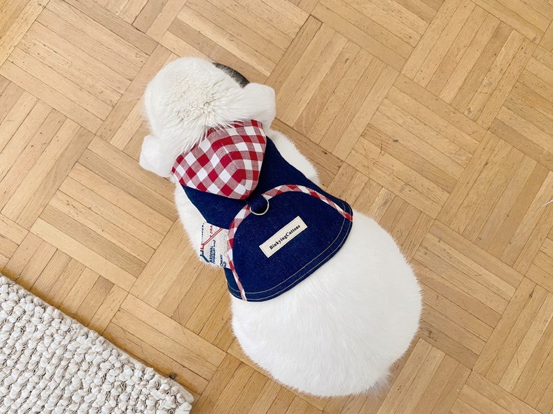 Hooded Pet Rabbit Harness Adjustable Small Pet Harness Bunny Etsy